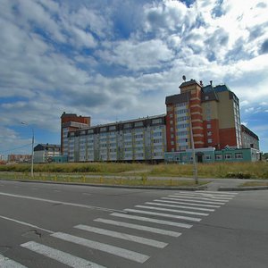 Череповец, Городецкая улица, 15: фото