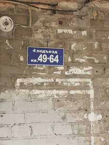 Nemirovicha-Danchenko Street, 137, : foto