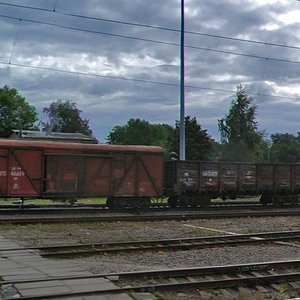 Aleksandra Nevskogo Street, 193, Kaliningrad: photo