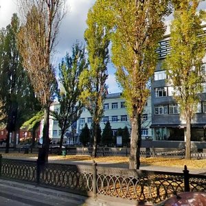 Tarasa Shevchenka Boulevard, 56, Kyiv: photo