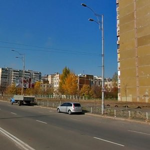 Maryny Tsvietaievoi Street, 6, Kyiv: photo