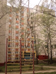 Чебоксары, Кукшумская улица, 5: фото