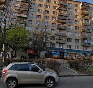 Volodymyro-Lybidska Street, 16, Kyiv: photo