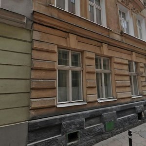 Vulytsia Ferentsa Lista, 10, Lviv: photo