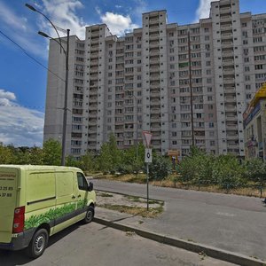 Myloslavska Street, 41/15, Kyiv: photo