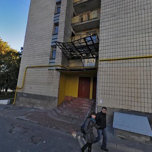 Borschahivska Street, 148, : foto