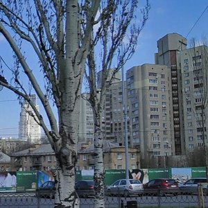 Leonida Pervomaiskoho Street, 11, Kyiv: photo