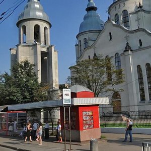 Shyroka vulytsia, 81А, Lviv: photo