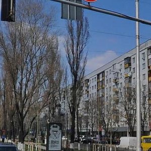 Lesi Ukrainky Boulevard, 17, Kyiv: photo