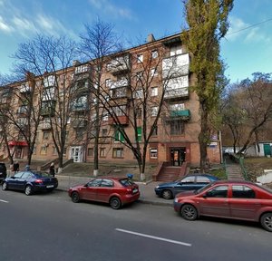 Mechnykova Street, 7, Kyiv: photo