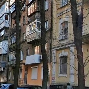 Mykoly Lieskova Street, 3, Kyiv: photo