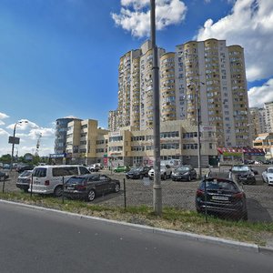 Dniprovska Embankment, 25А, Kyiv: photo