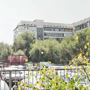 Tchaikovsky Street, 93, Almaty: photo