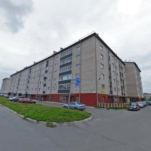 Pogranichnaya Street, 54, Petrozavodsk: photo