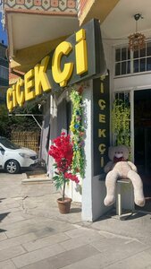 Adnan Kahveci Avenue, 2, Ankara: photo