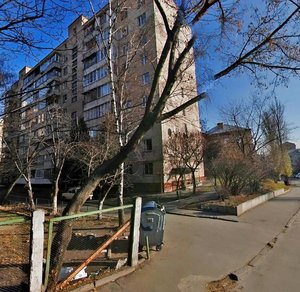 Platona Maiborody Street, 21, Kyiv: photo