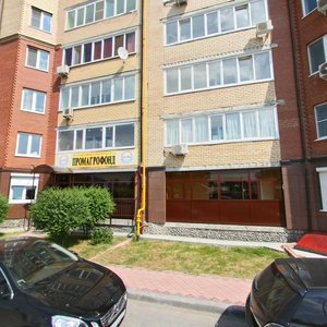Orlovskaya ulitsa, 52, Tyumen: photo