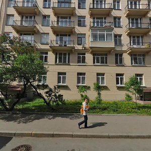Kronverkskaya Street, 8 ، سان بطرسبرغ: صورة