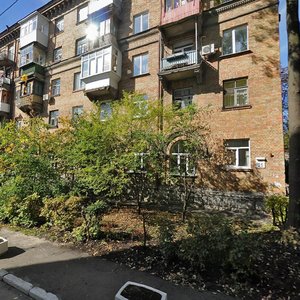 Mykoly Raievskoho Street, 25, Kyiv: photo