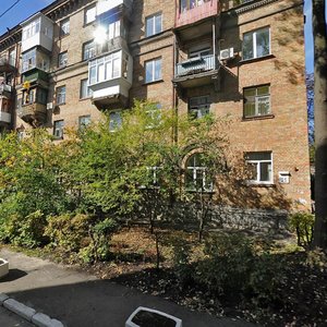 Mykoly Raievskoho Street, No:25, Kiev: Fotoğraflar