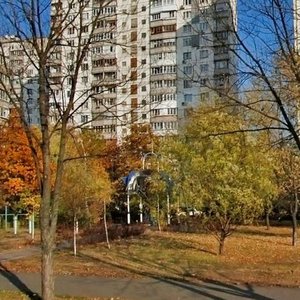 Raiduzhna Street, 19, Kyiv: photo