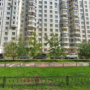 Москва, Плавский проезд, 5: фото