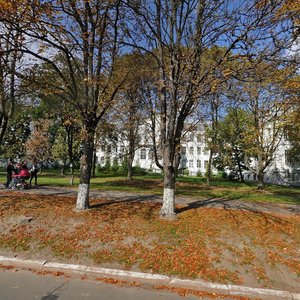 Heroiv Oborony Street, 13, Kyiv: photo