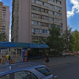 Vyshniakivska Street, 19/19, Kyiv: photo