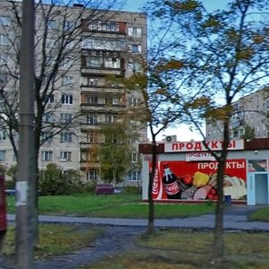 Oleko Dundicha Street, 6, Saint Petersburg: photo