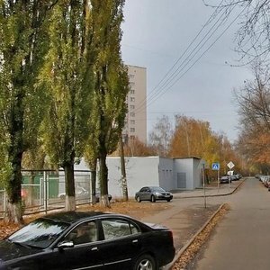 Adama Mitskevycha Street, 1, Kyiv: photo