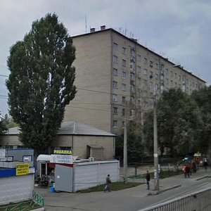 Vatslava Havela Boulevard, 18, Kyiv: photo