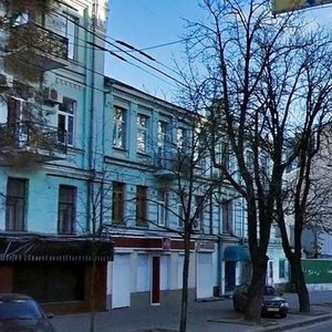 Velyka Vasylkivska Street, 91, : foto