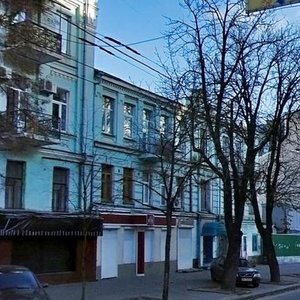 Velyka Vasylkivska Street, 91, Kyiv: photo