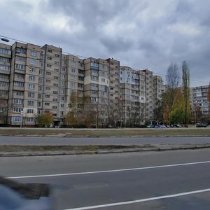 Akademika Korolova Avenue, 18, Kyiv: photo