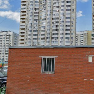 Ostrovityanova Street, 9к5 ، موسكو: صورة
