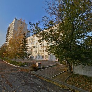 Platonava Street, 22А, Minsk: photo