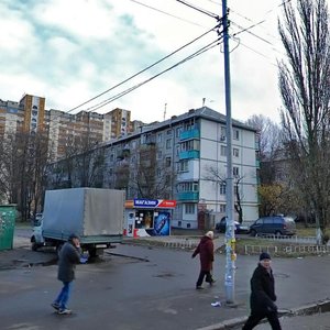 Heroiv Sevastopolia Street, 23, Kyiv: photo