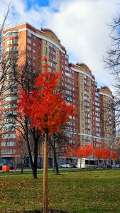 Yurlovskiy Drive, 21, Moscow: photo