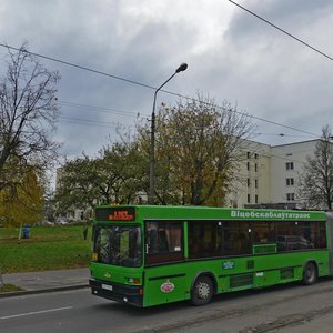 Vulica Maksima Horkaha, 90А, Vitebsk: photo