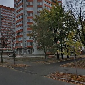 Verkhovnoi Rady Boulevard, 21Б, Kyiv: photo