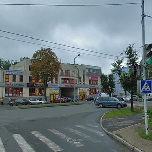 Aleksandra Nevskogo Street, 36В, Kaliningrad: photo