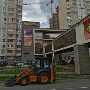 Москва и Московская область, Жилой комплекс Бутово Парк, 18к1: фото