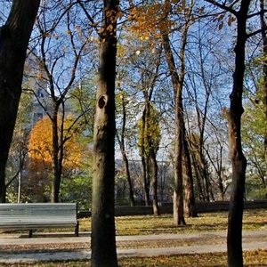 Shovkovychna Street, 38Б ، كييف: صورة