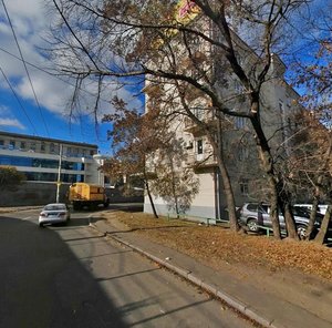 Oleksandra Dovzhenka Street, 2, Kyiv: photo