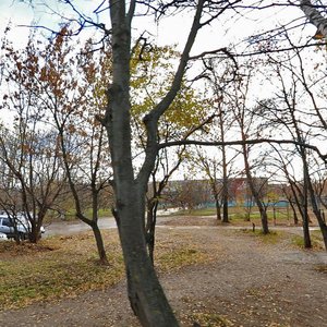 Odoyevskoye Highway, 106, Tula: photo