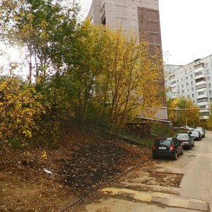 Нижегородская область, Зелёная улица, 69: фото