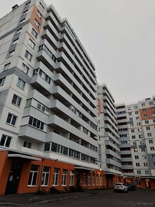 Санкт‑Петербург, Московское шоссе, 258к2: фото