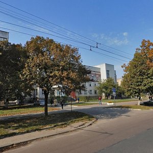 Vulytsia Ivana Mazepy, No:55, Chernigov: Fotoğraflar