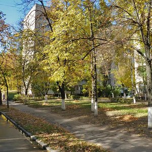 Hnata Yury Street, 3А, Kyiv: photo