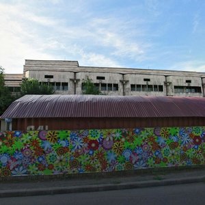 Panfilov Street, 1А, Almaty: photo